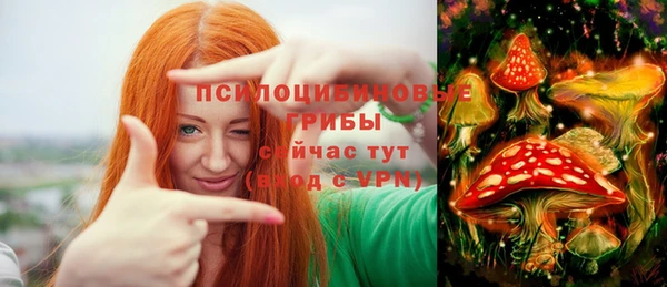 Альфа ПВП Вязники