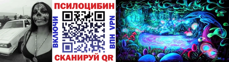 Псилоцибиновые грибы мицелий  Чистополь 